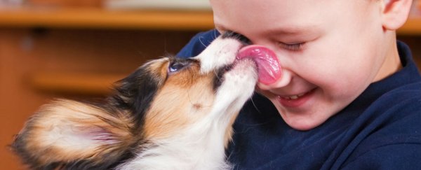Scientists are investigating if living with a dog improves your microbiome