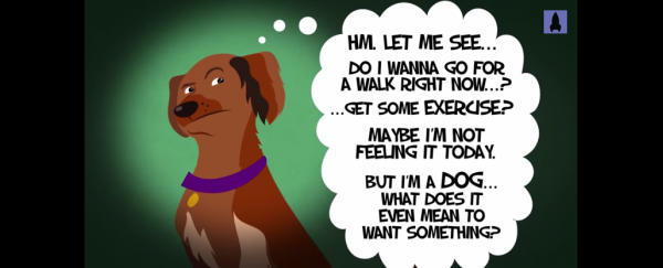 WATCH: Does my dog understand me?