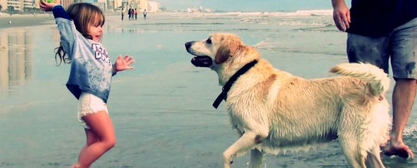 Having a dog can reduce anxiety and stress in children, study finds