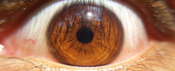 A Japanese man just got another person's stem cells transplanted in his eye