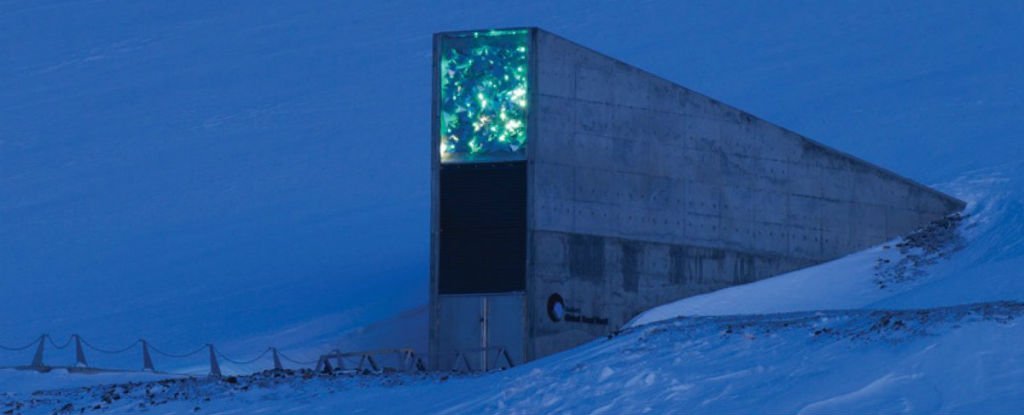 Melting Permafrost Is Causing Water To Leak Into The Arctic Doomsday Vault Melting Permafrost Is Causing Water To Leak Into The Arctic Doomsday Vault
