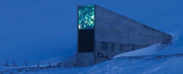 doomsday vault essay doomsday vault essay