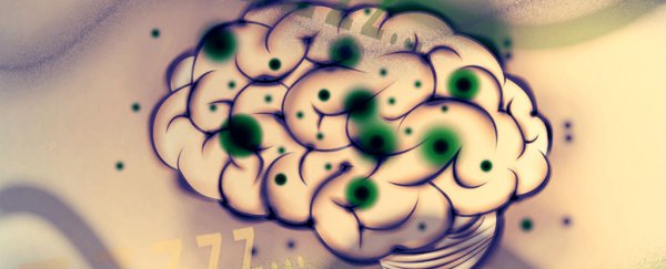 Scientists discover neural circuit that puts brain regions to sleep while we're awake