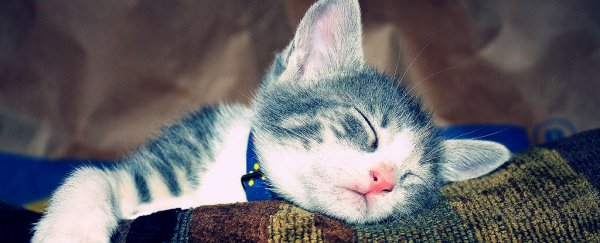 Your sleeping position affects what you dream about more than you think