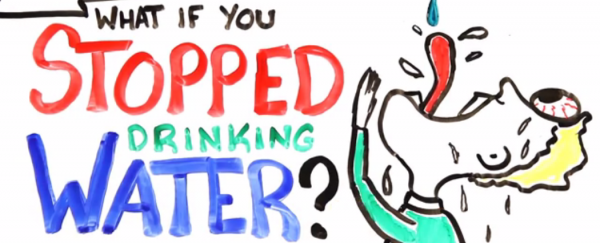WATCH: What if you stopped drinking water?