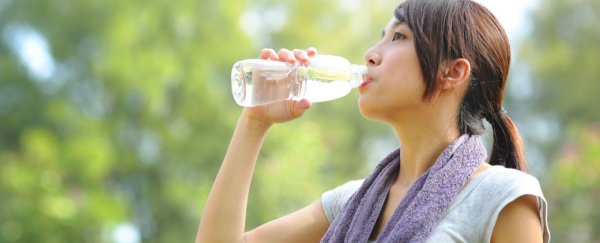 Here's what you should be drinking after a workout, according to science