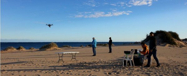 Scientists are using ultra-res camera drones to survey Australia's 'other' great reef