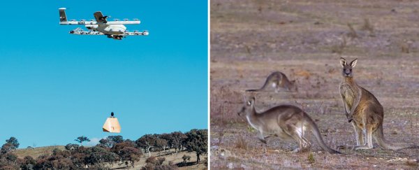A small Australian town is getting burritos and aspirin delivered with drones