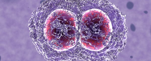 New class of antibiotic could fight resistance for 30 years