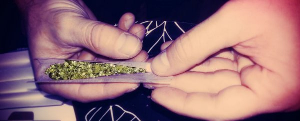 Here's what 9 common drugs including caffeine, weed, and alchohol do to your brain