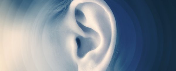 We finally know how humans are able to echolocate, just like bats and whales