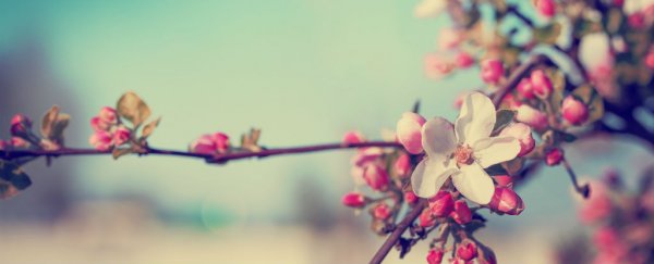 Spring could arrive almost a month earlier by the year 2100