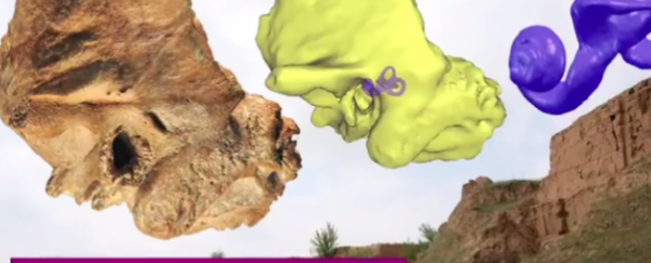 WATCH: What's new in archaeology?