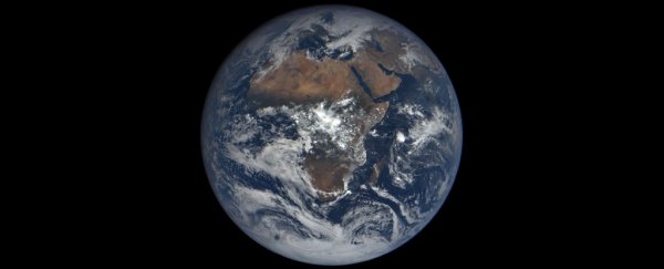 Earth’s first mass extinction was caused by the emergence of animals, scientists say