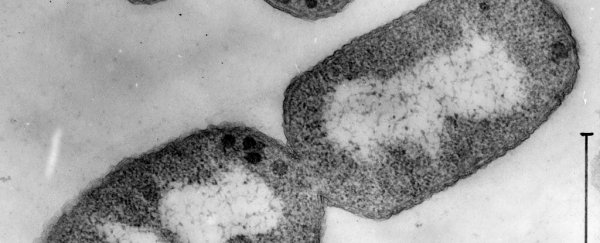 The superbug that experts have been dreading has just reached the US