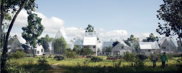The 'Tesla of eco-villages' is developing off-grid housing that produces its own food and power
