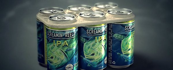These edible six-pack rings don't strangle marine life - they feed them