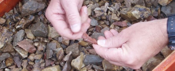 These 3.8-million-year-old eggshells hold the world's oldest proteins