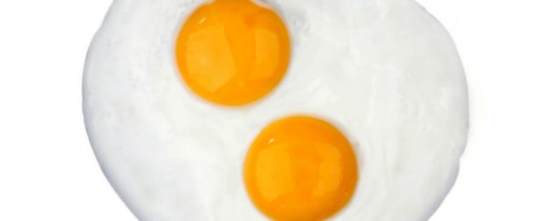 Rare double-yolk eggs are hitting the market by the dozen