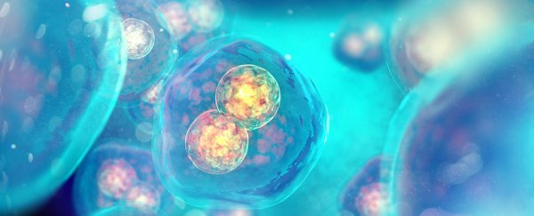 Chinese scientists have genetically modified a human embryo AGAIN