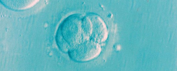 Scientists think they've traced the very first mutations in a human life