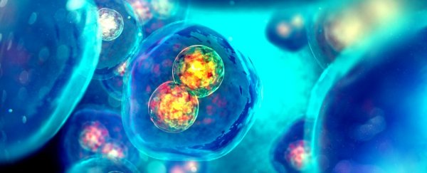 A Swedish scientist is using CRISPR to genetically modify healthy human embryos