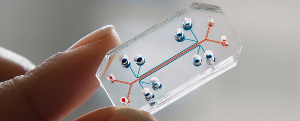 The FDA just struck a deal that could replace animal testing with a tiny chip