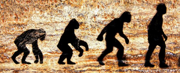 Take the evolution pop quiz given to first-year biology students