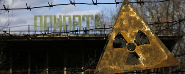 Chernobyl's milk is still radioactive 30 years later, investigation reveals