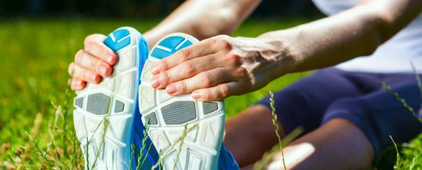 Ready for a workout pill? Scientists find a compound that mimics exercise