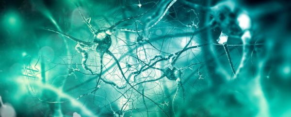 This exercise routine could intensify the growth and development of new brain cells