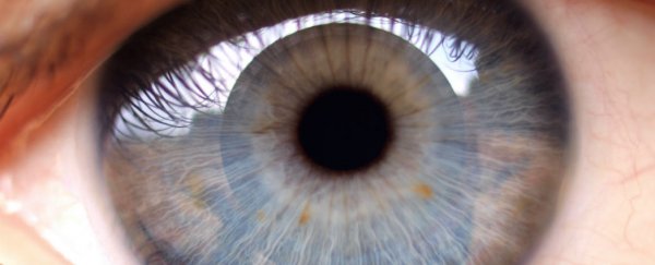 New bionic contact lenses could make glasses obsolete