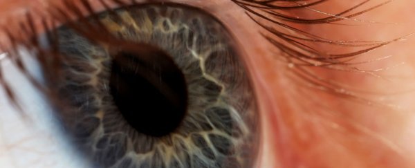 Scientists have improved vision in babies with cataracts using stem cells