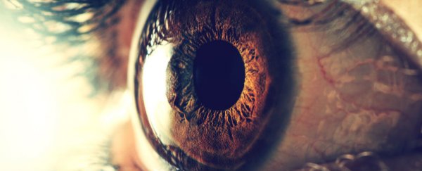 Watch: The most common misconceptions about eyesight busted by science