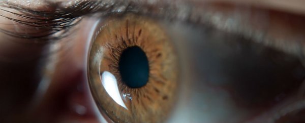 Scientists have reversed age-related blindness by deliberately infecting eyes with a virus