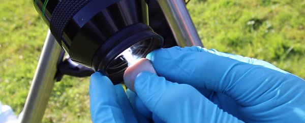 Astronomer uses pig's eye to show why you should NEVER look at the Sun through a telescope