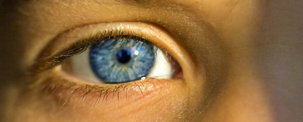 This new surgery can restore some legally blind people to 20/20 vision