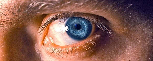 Your peripheral vision might be an optical illusion, scientists find