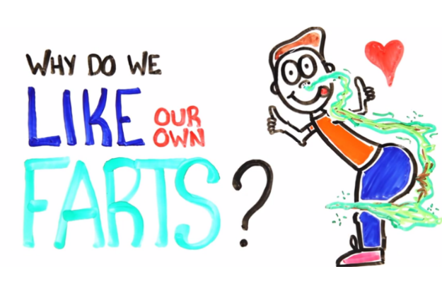 Why Do We Like The Smell Of Our Own Farts Reddit