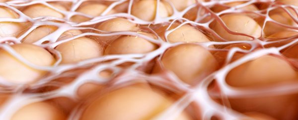 Researchers find the "Achilles' heel" of liver cancer doesn't work at all