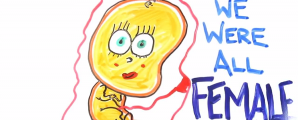 WATCH: We were once all female