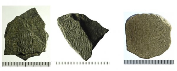 Hundreds of mysteriously carved Stone Age 'sunstones' have been found in Denmark