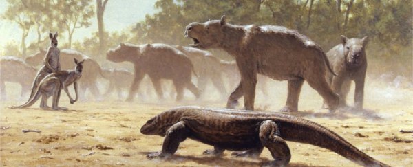 Australian animals were a lot more gigantic and terrifying during the Ice Age