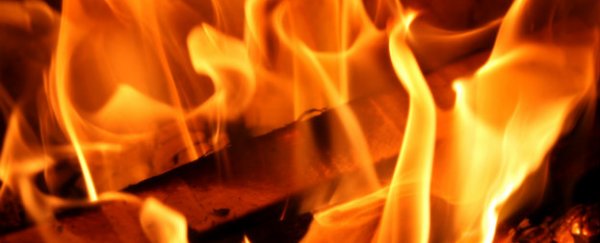 Study finds six toxic flame-retardants in humans