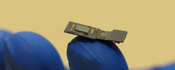 This flat microscope implant could beam sensory input directly to the brain