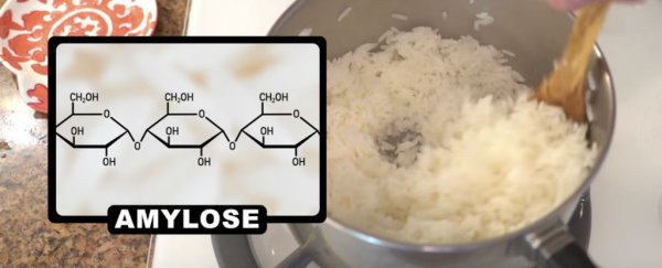 3 science-based food hacks that will make your meals better
