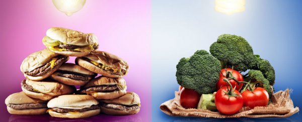 Sugar and carbs, not physical inactivity, behind surge in obesity, say experts