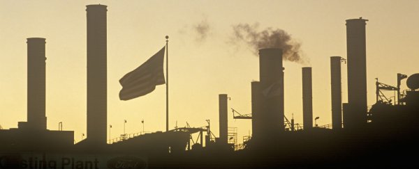 Greenpeace sting operation exposes academics paid to cast doubt on climate science