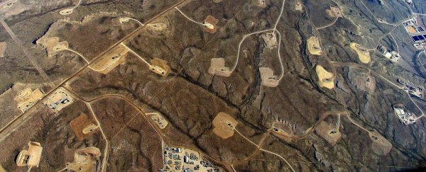 Researchers just discovered an entirely new bacteria species in multiple fracking sites