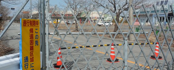 Fukushima's meltdown gave every human on Earth 1,000 bananas' worth of radiation